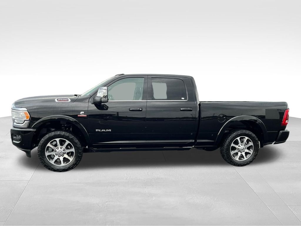 Used 2024 Black Ram Longhorn image 2