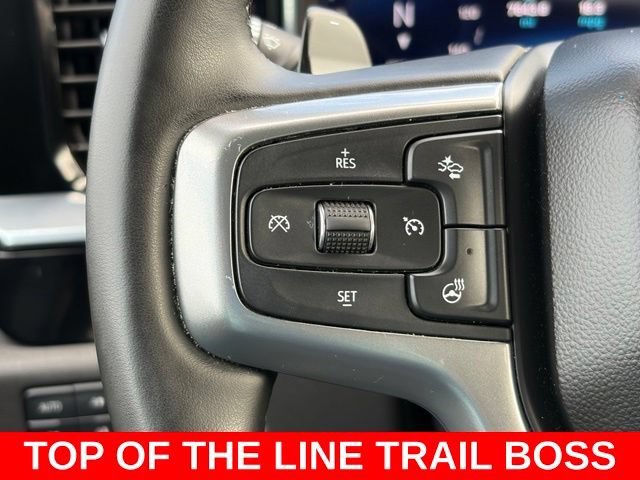 2025 Chevrolet Silverado 1500 LT Trail Boss - Photo 20