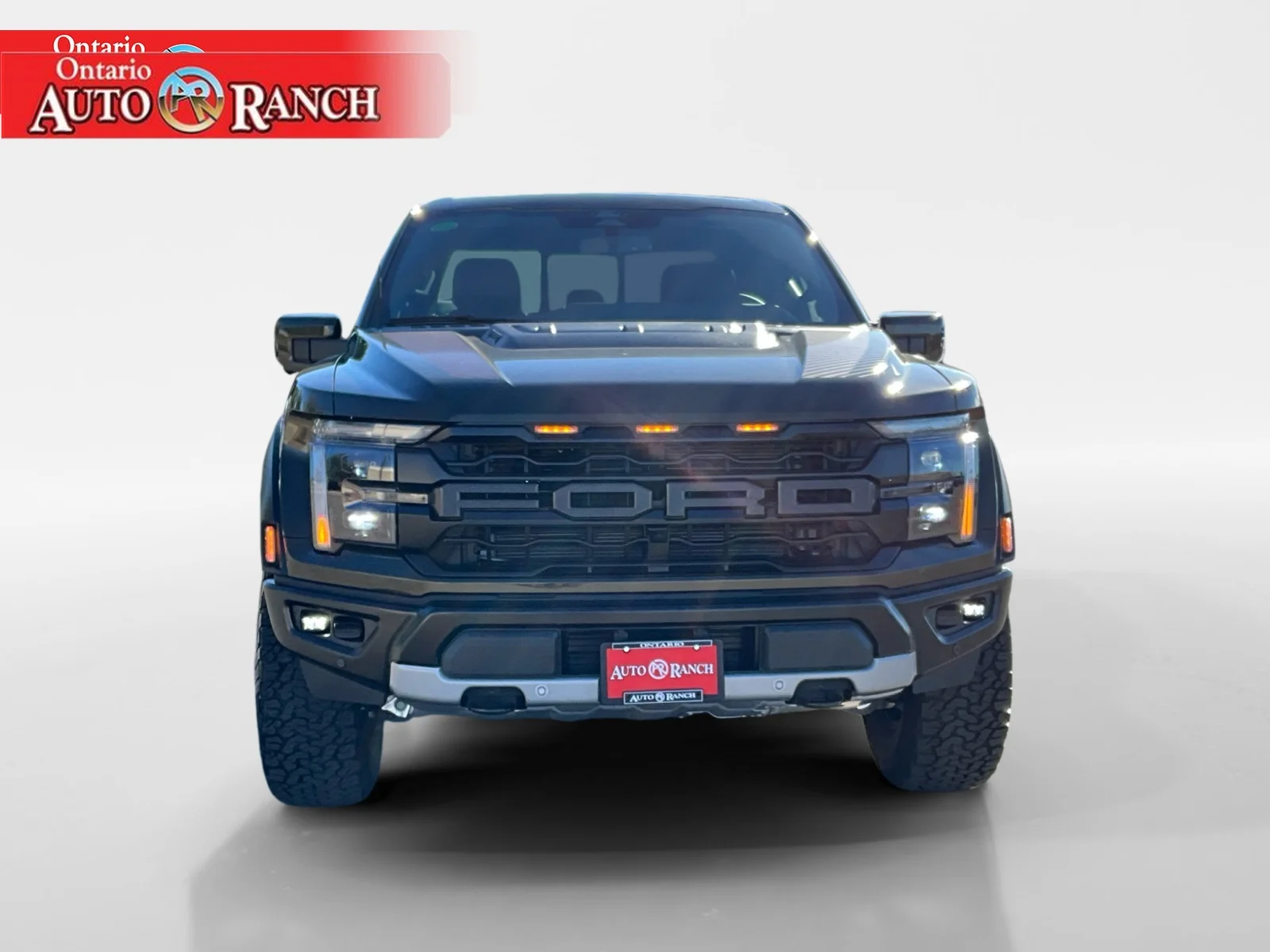 New 2026 SHELTER GREEN Ford Raptor image 8