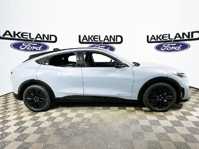 New 2026 Gray Ford Premium image 2