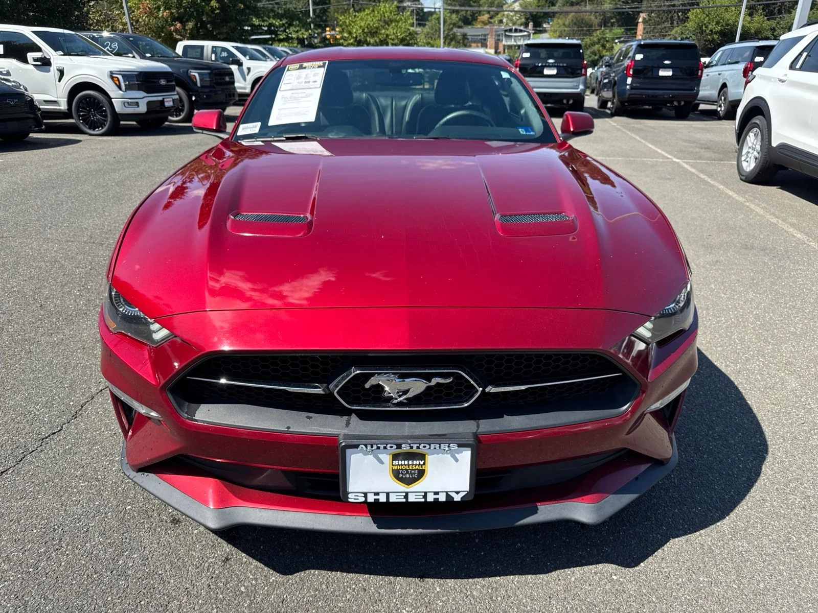 Used 2018 Red Ford EcoBoost Premium image 8