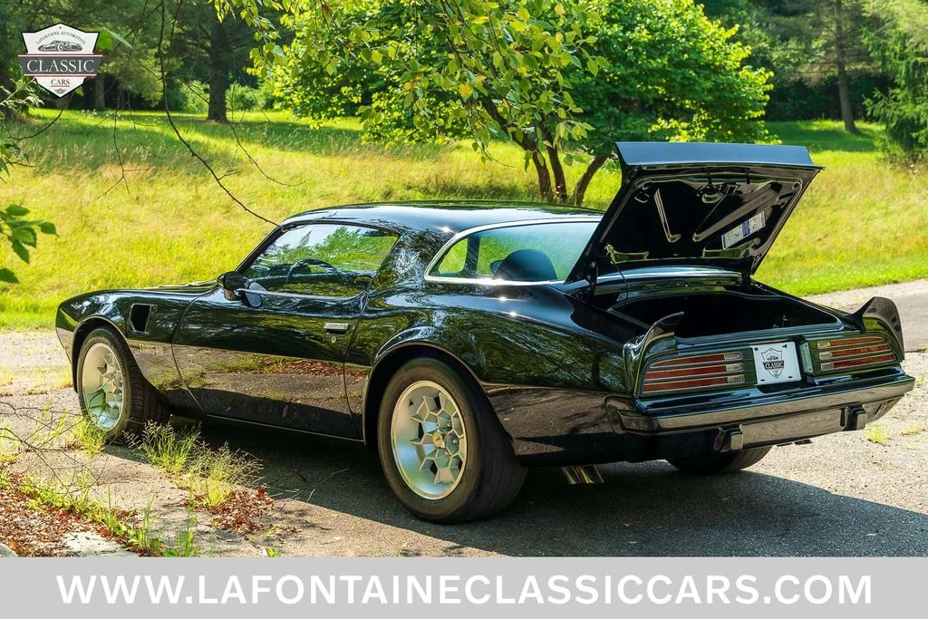 Used 1975 Black Pontiac Trans Am image 38