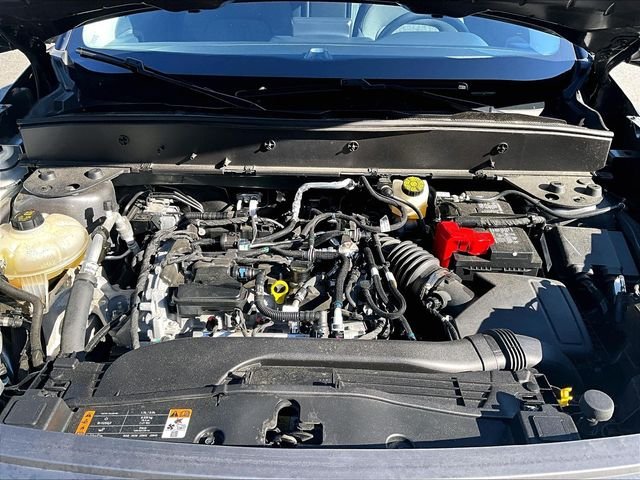 Used 2023 Gray Ford Big Bend image 10