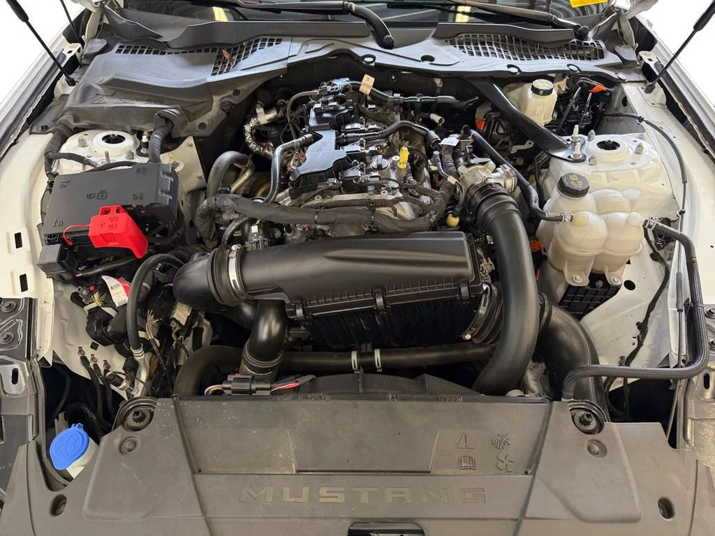 Used 2024 White Ford EcoBoost Premium image 15