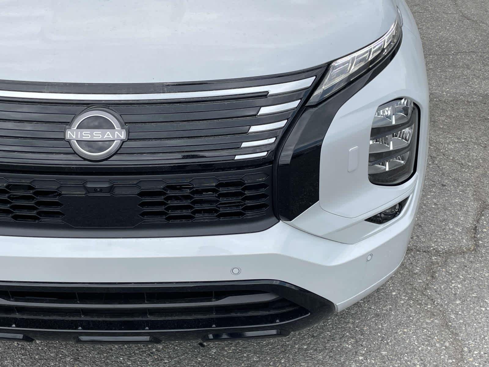 New 2026 Alpine Frost Nissan Platinum image 9
