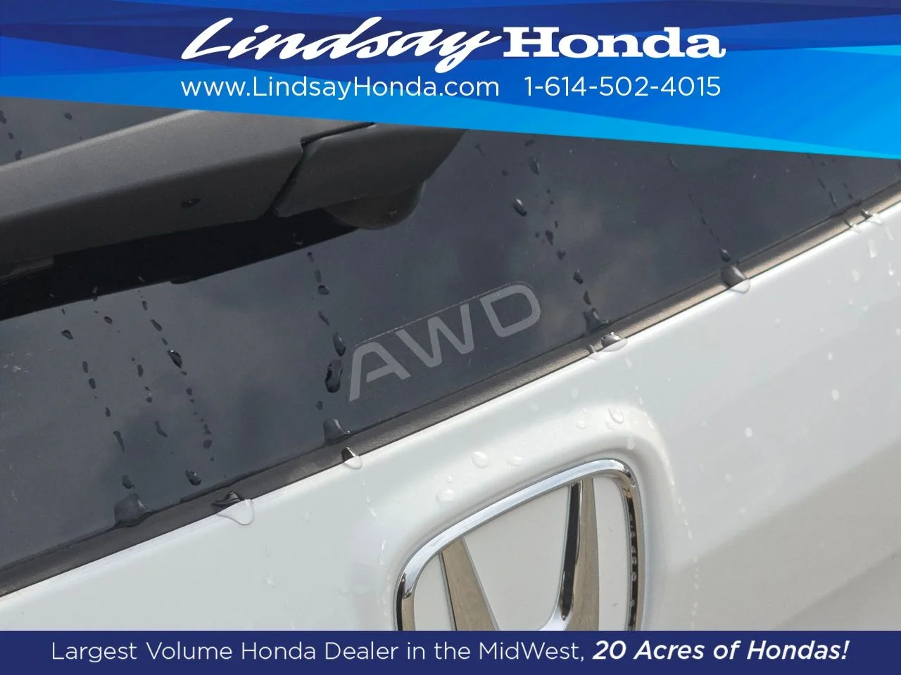 New 2026 Platinum White Pearl Honda EX-L image 14