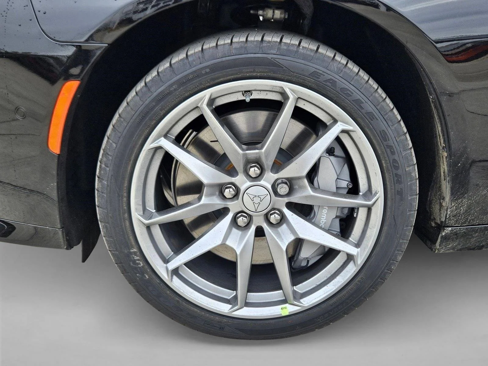 New 2026 Diamond Black Crystal Pearlcoat Dodge Scat Pack image 10