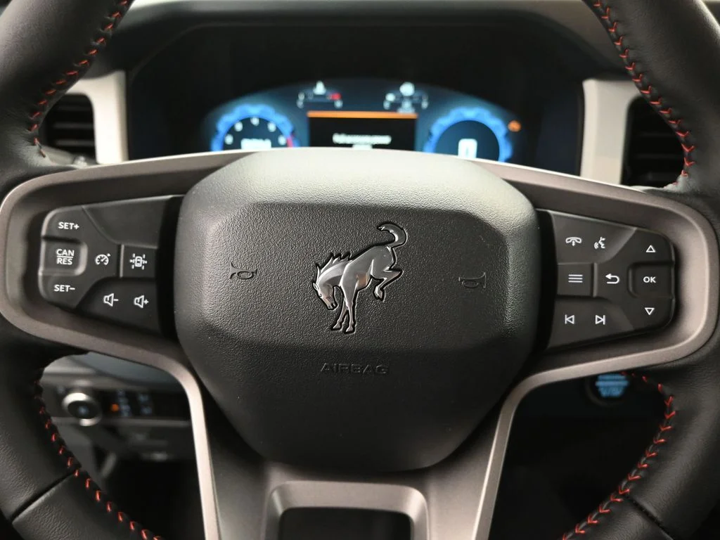 New 2026 Gray Ford Heritage Edition image 10