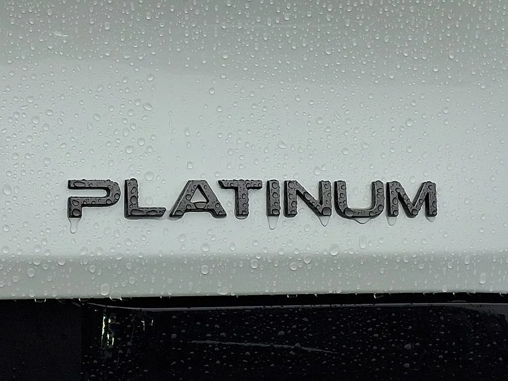 New 2026 White Nissan Platinum image 20
