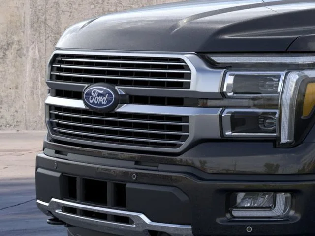 New 2026 Agate Black Metallic Ford Platinum image 21