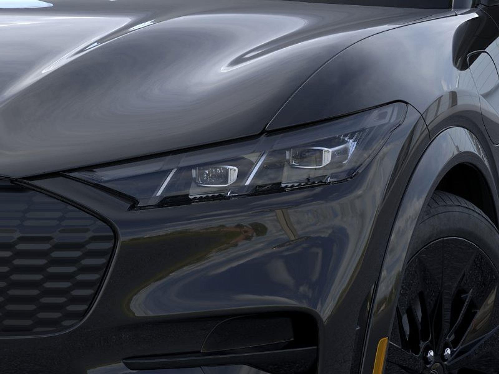 New 2026 Shadow Black Ford GT image 18