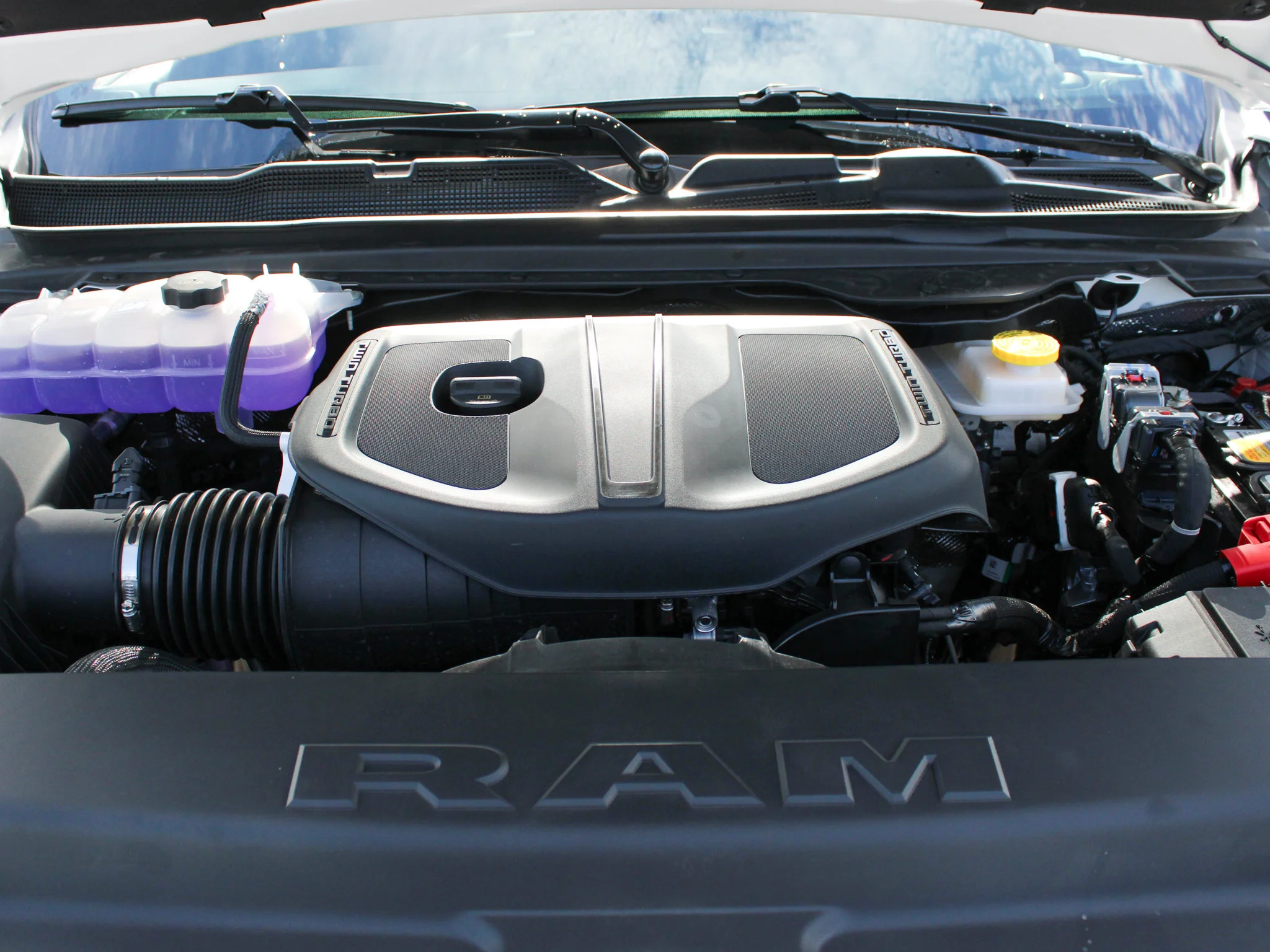 New 2026 White RAM Express* image 9