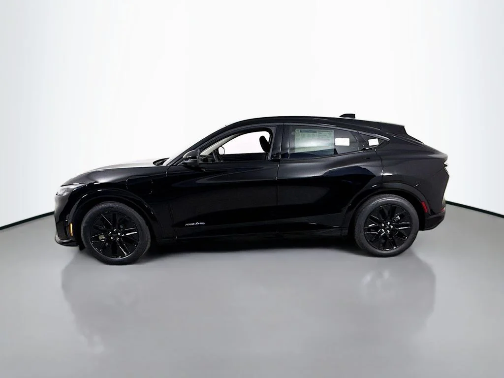 New 2026 Shadow Black Ford Premium image 4