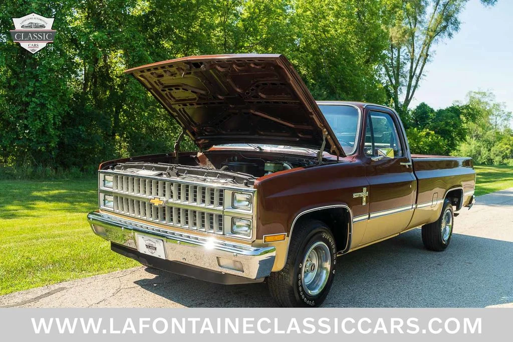 Used 1982 Brown Chevrolet  image 59