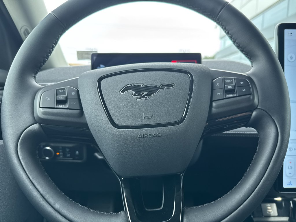 2025 Ford Mustang Mach-E Premium - Photo 20