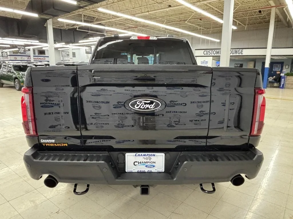 2025 Ford F-150 Tremor - Photo 7