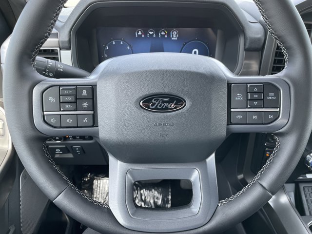 New 2025 Rapid Red Metallic Tinted Clearcoat Ford Lariat® image 17