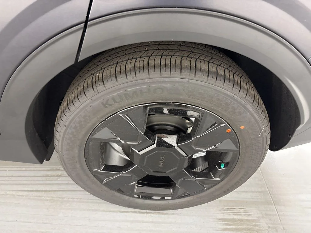 New 2026 Panthera Metal Matte Kia X-Line image 11
