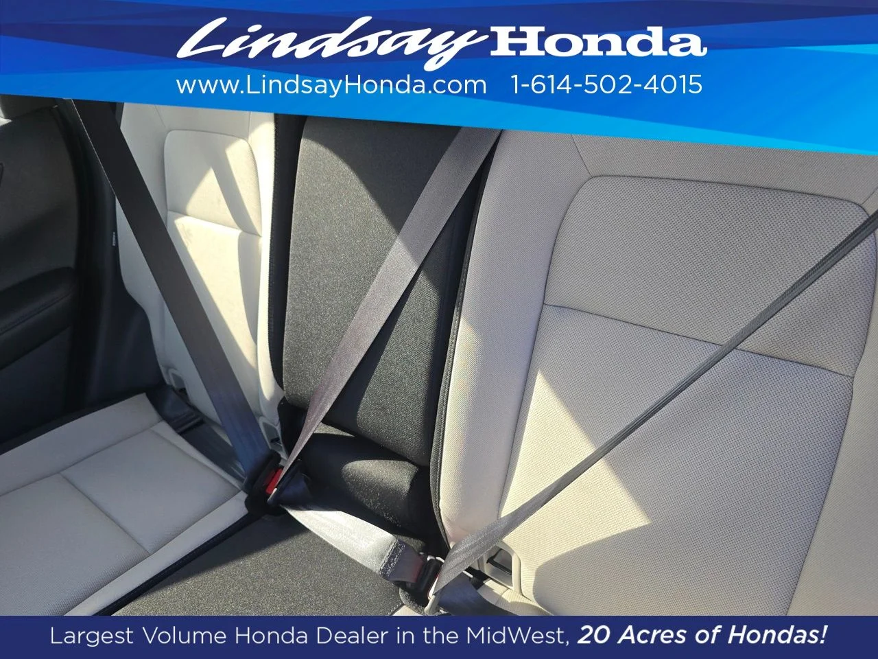 New 2026 Platinum White Pearl Honda LX image 4