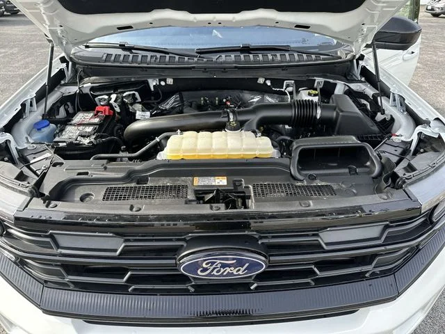 Used 2025 White Ford Active image 19