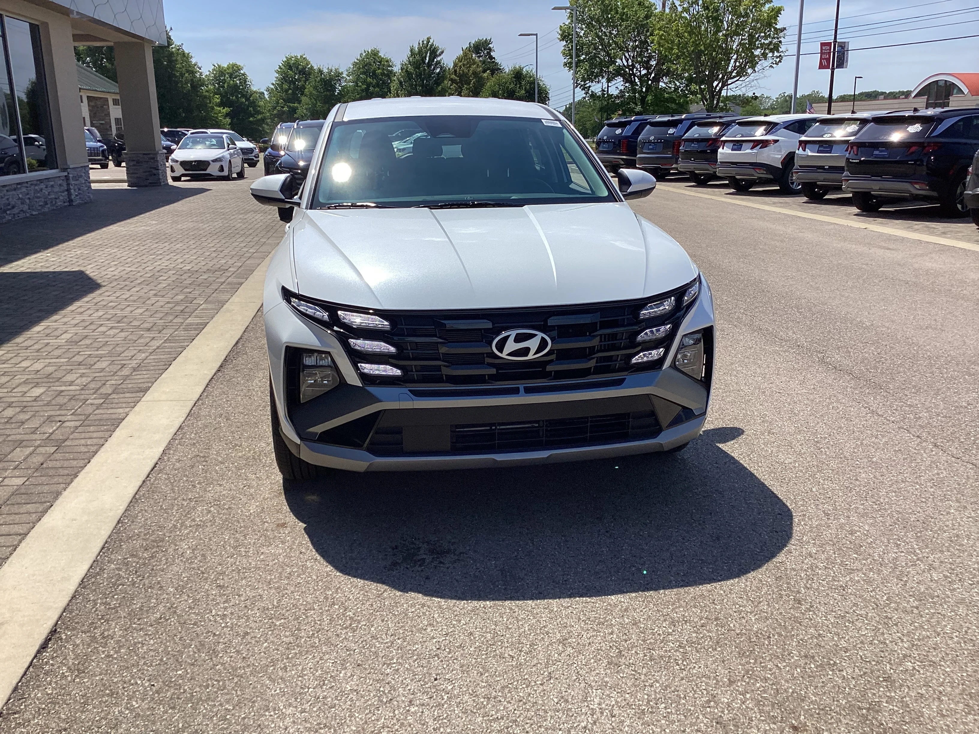 New 2026 Creamy White Pearl Hyundai Blue SE image 6