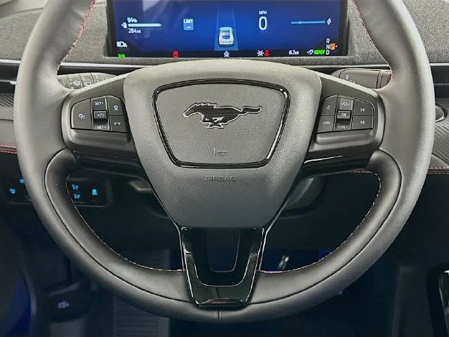 New 2026 Gray Ford Premium image 14