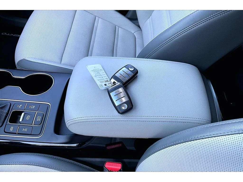 Used 2020 Imperial Blue Kia SX V6 image 11