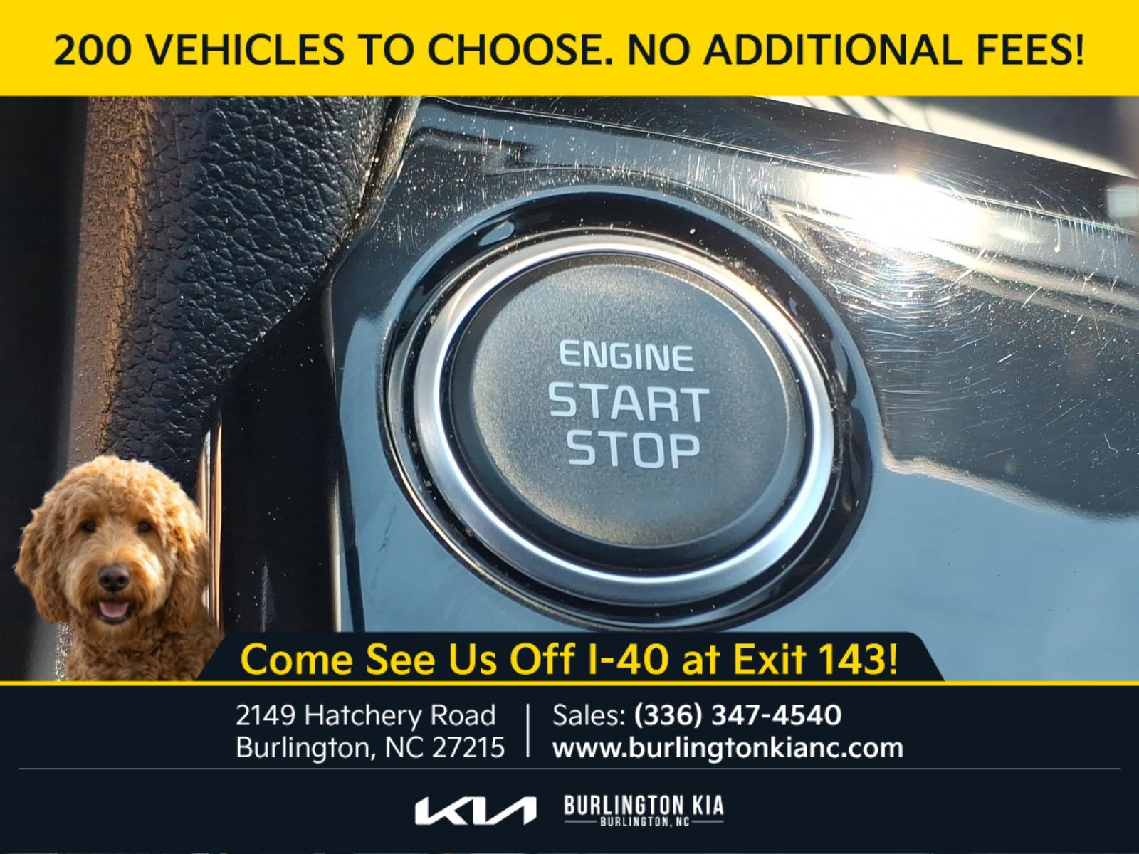 Certified Used 2024 Ebony Black Kia EX image 13