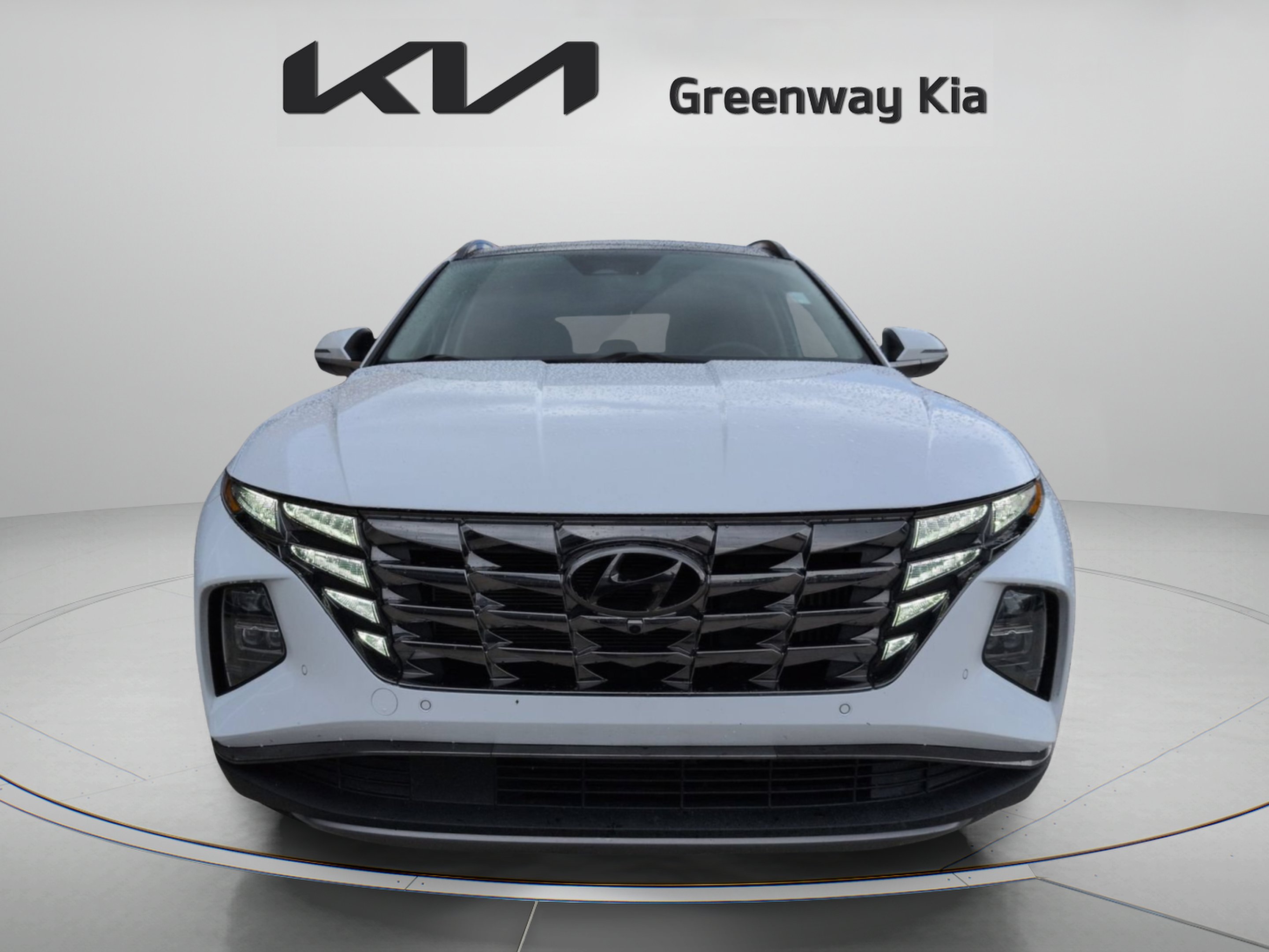 Used 2024 White Pearl Hyundai Limited image 3