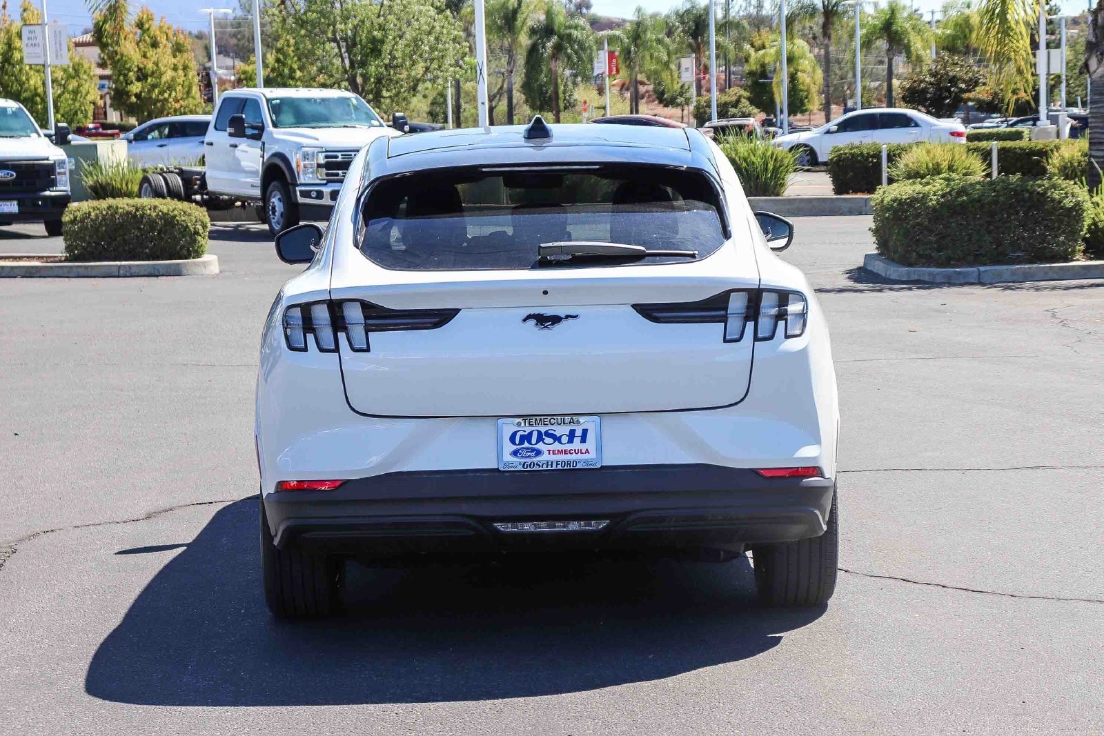 New 2026 Star White Metallic Tri-coat Ford Premium image 6