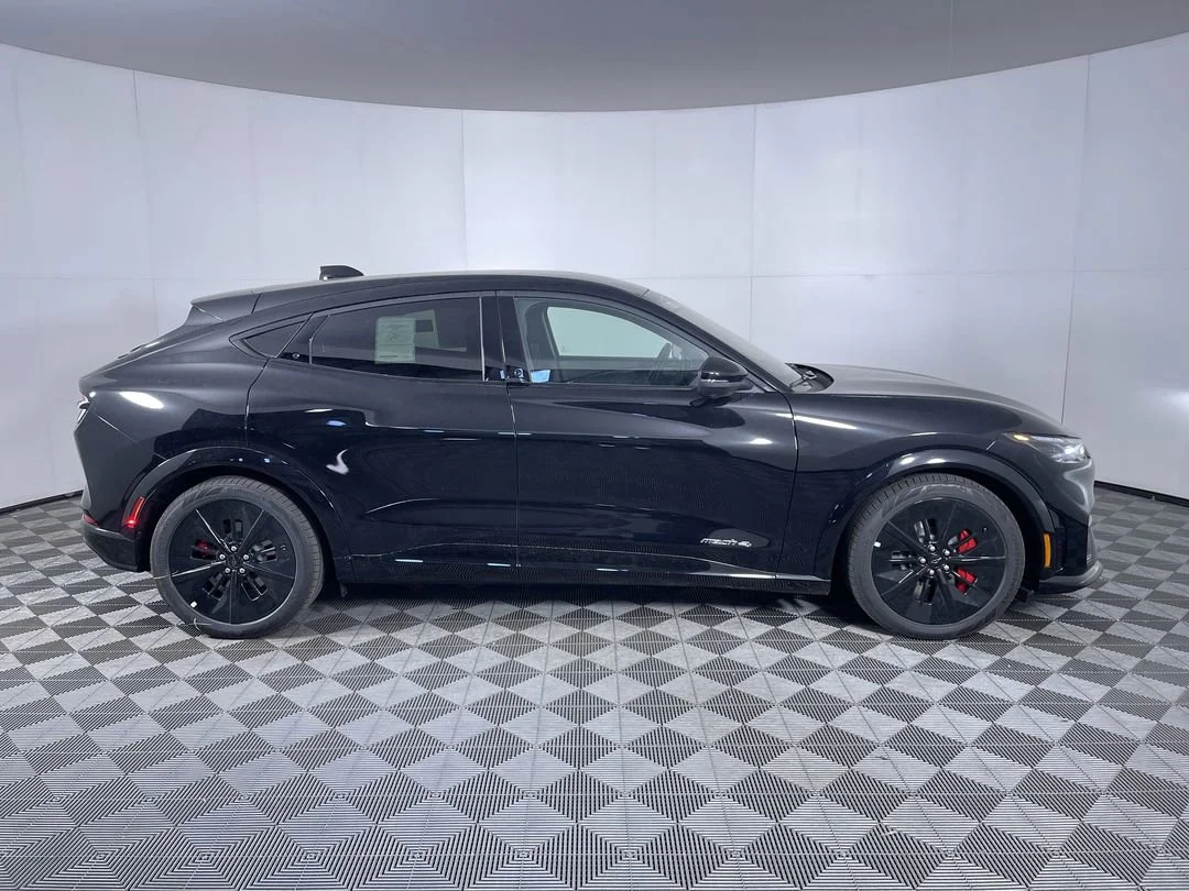 2025 Ford Mustang Mach-E GT - Photo 10