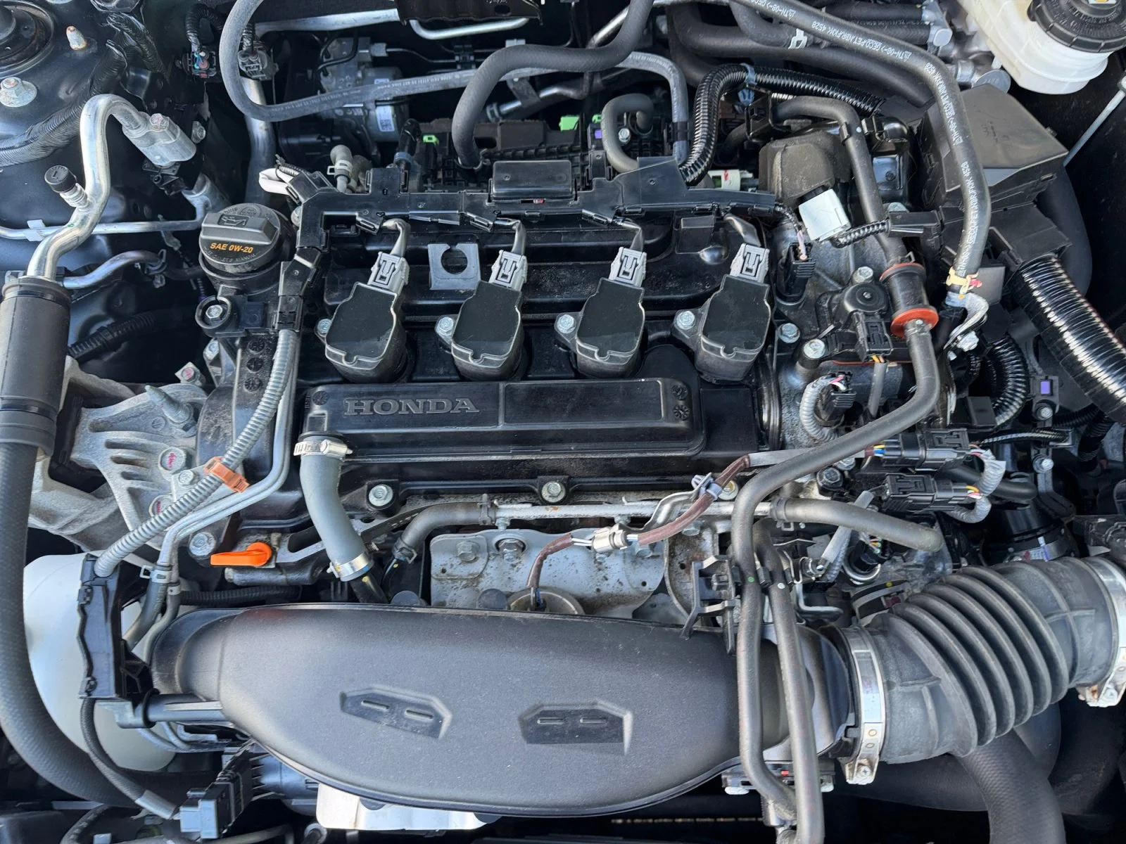 Used 2024 Gray Honda EX-L image 7