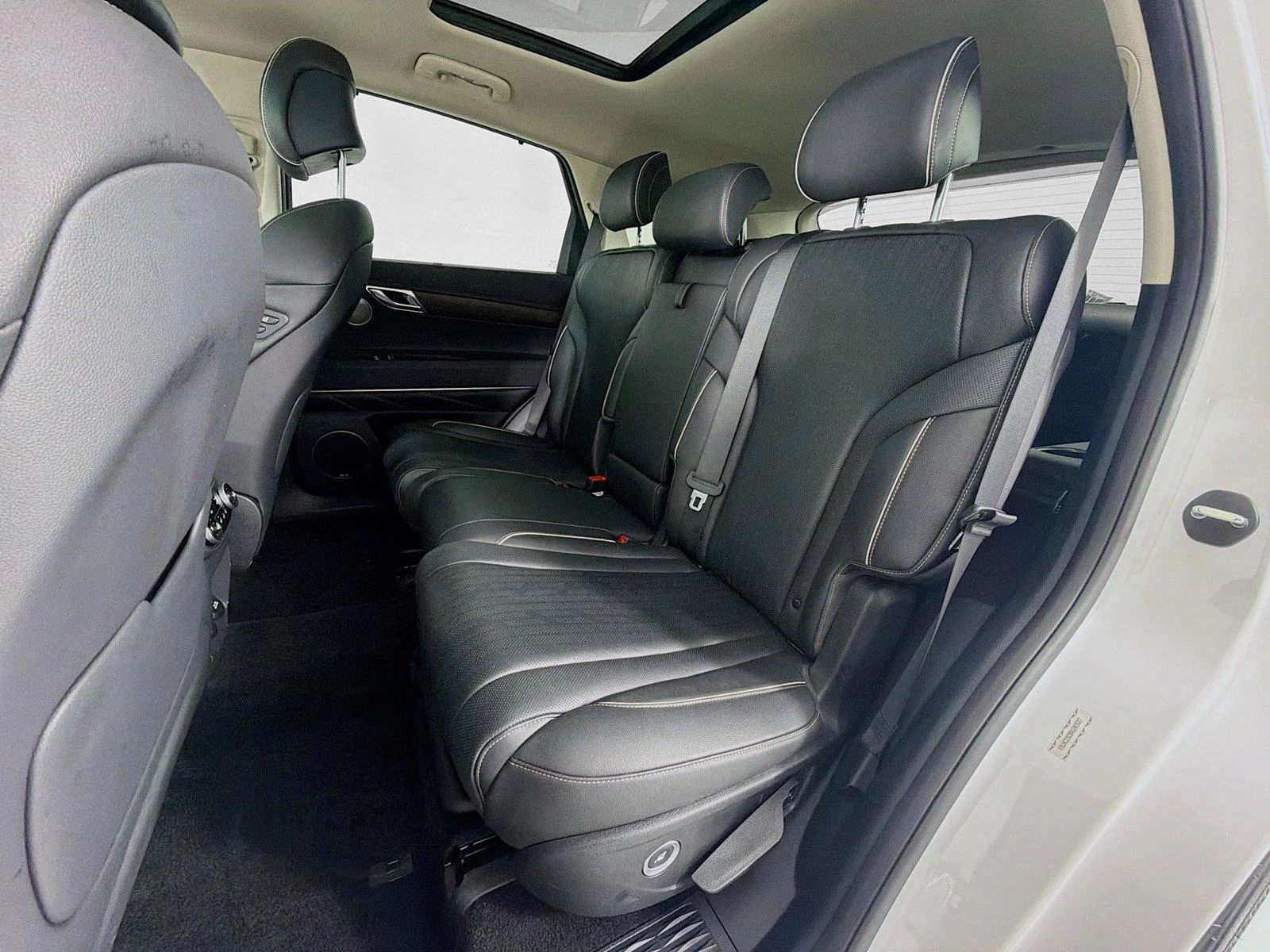 Used 2024 Alta White GENESIS  image 20