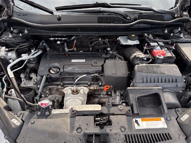 Used 2019 Crystal Black Pearl Honda LX image 30