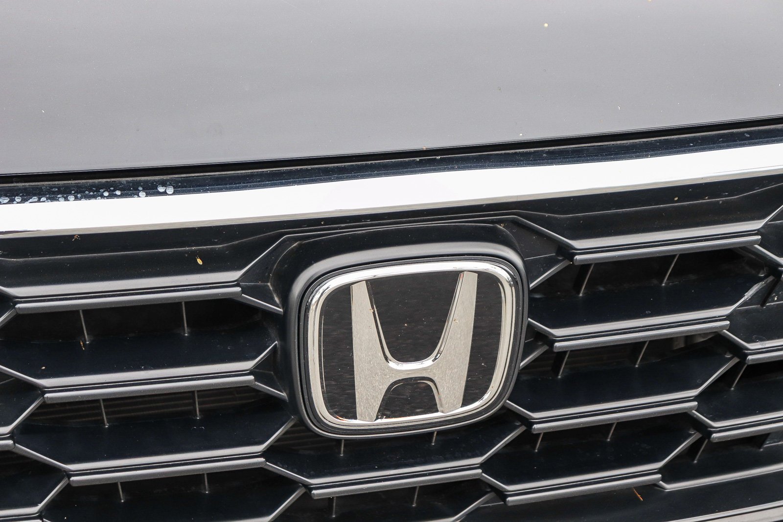 Used 2025 Crystal Black Pearl Honda LX image 4