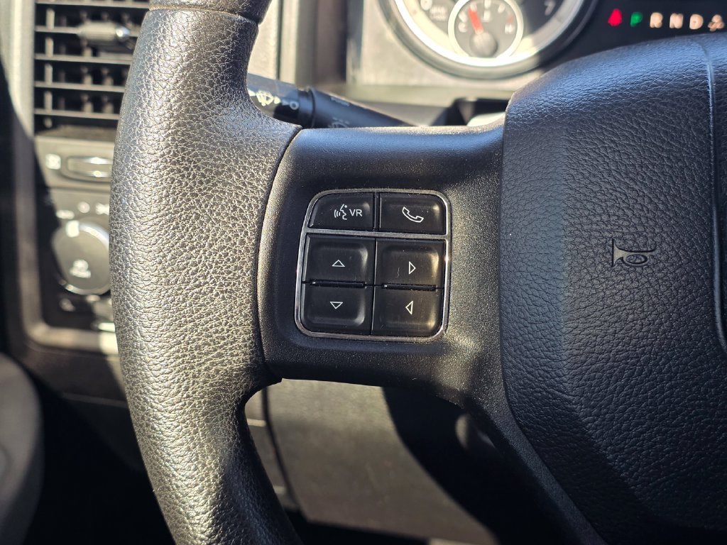 Used 2017 Black Ram Express image 31
