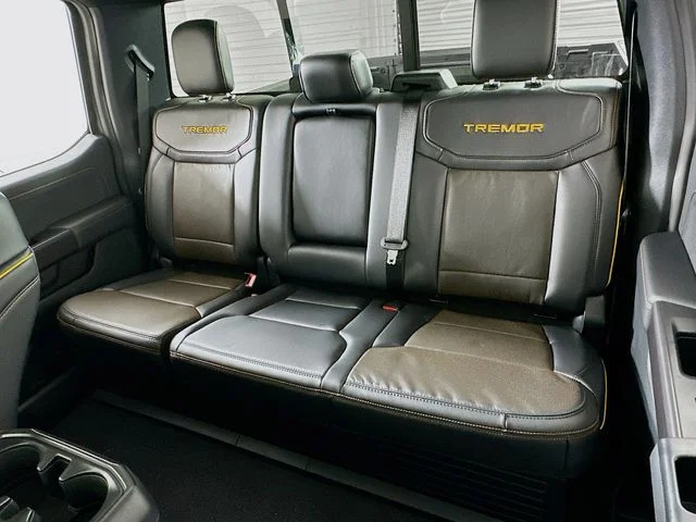 New 2026 Gray Ford Tremor image 12