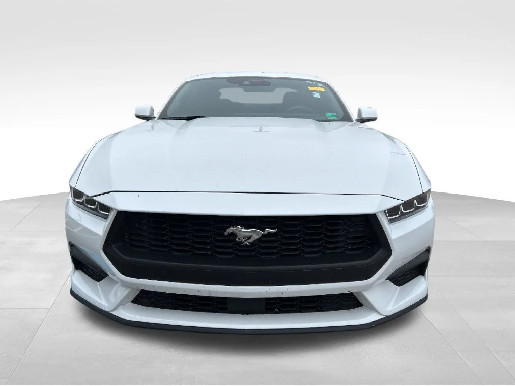Used 2024 White Ford EcoBoost Premium image 9