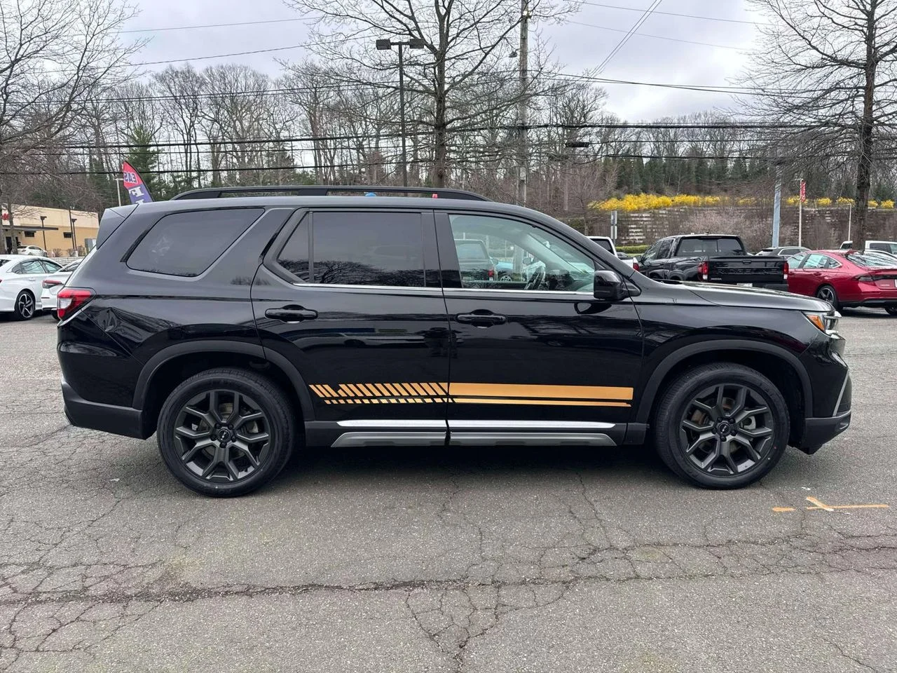 Used 2024 Crystal Black Pearl Honda Elite image 8