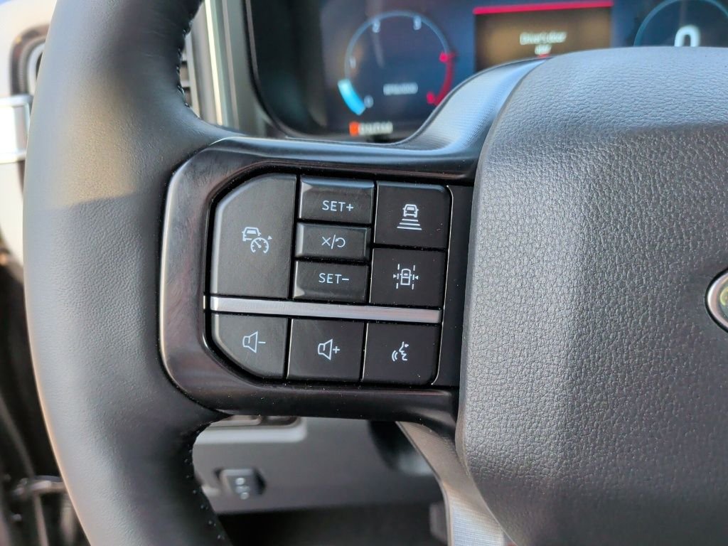 New 2026 Carbonized Gray Metallic Ford F-250® Platinum® image 19