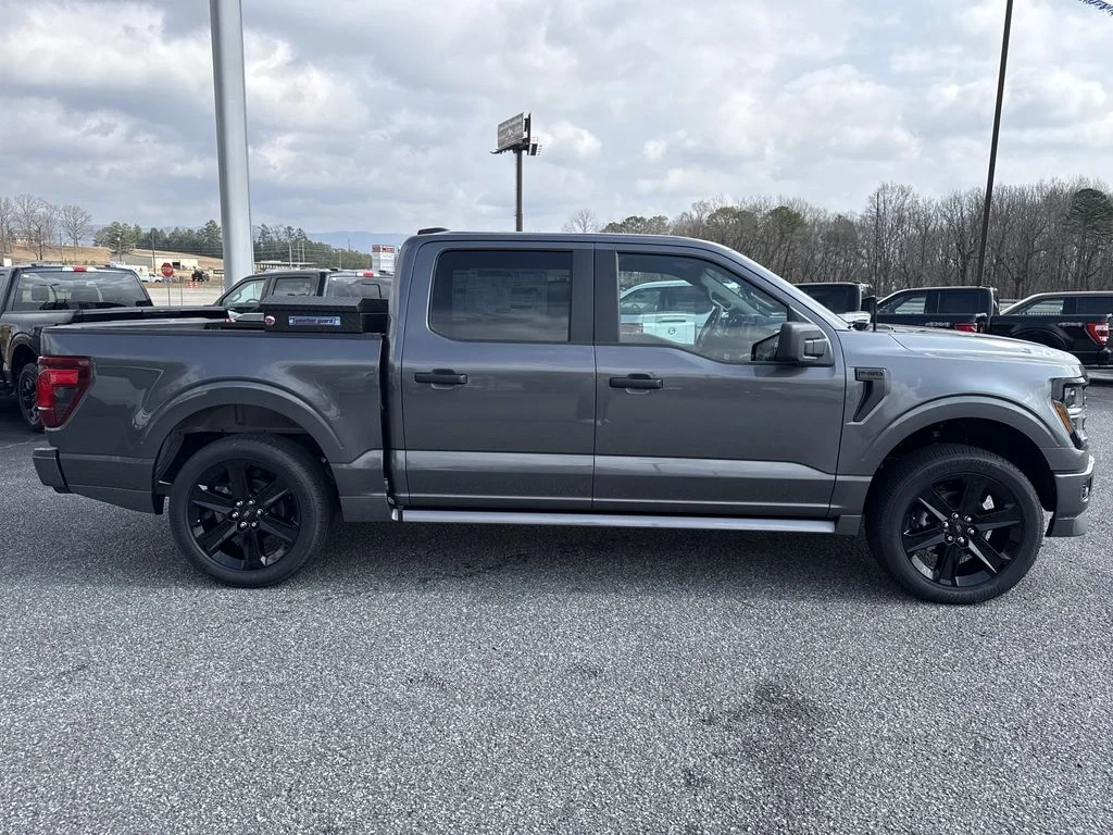 New 2026 Gray Ford STX image 8