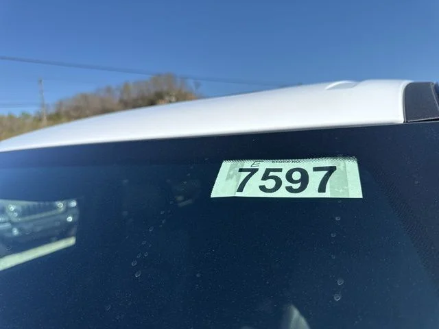 New 2026 White Ram Rebel image 18