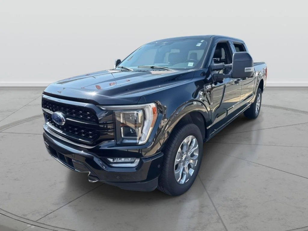 Used 2023 Black Ford Platinum image 5