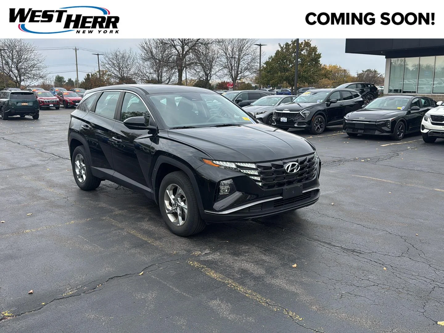 Used 2024 Black Pearl Hyundai SE image 1