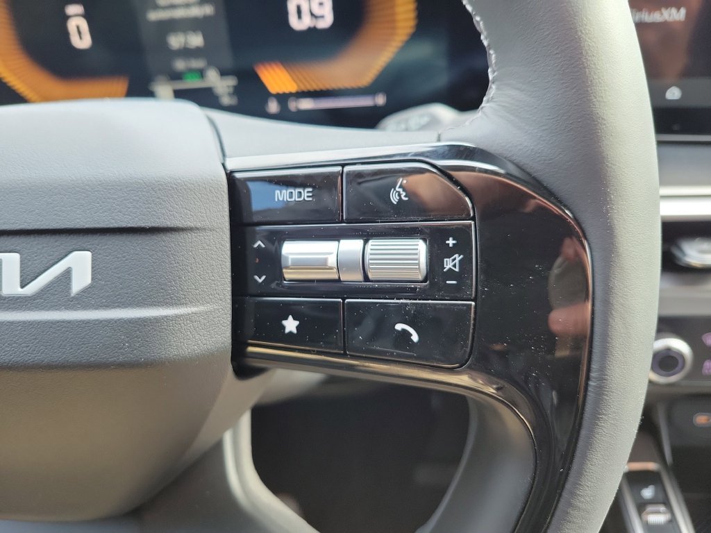 New 2026 Panthera Metal Kia S image 28