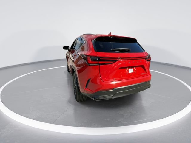2025 Lexus NX 250 - Photo 6