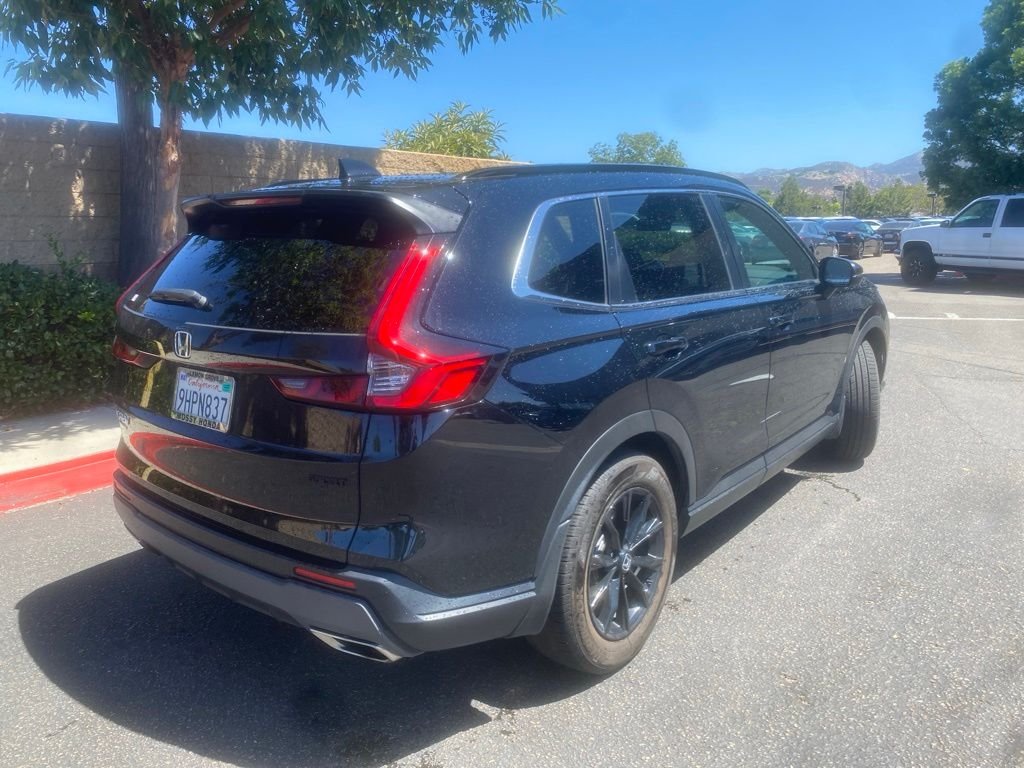 Used 2023 Black Honda Sport image 7