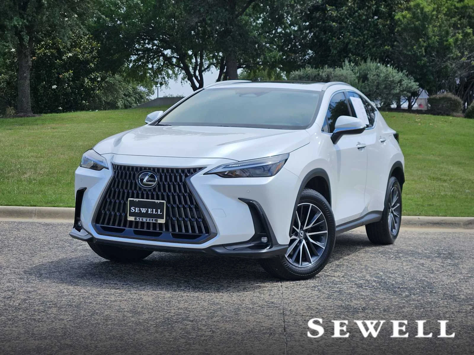 2025 Lexus NX 350 250 Premium FWD's photo