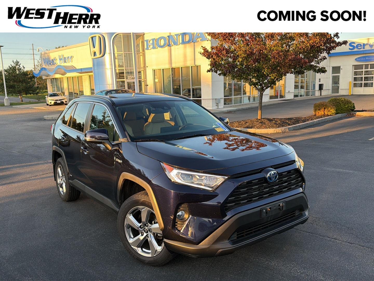 Used 2021 Blueprint Toyota XLE Premium image 1