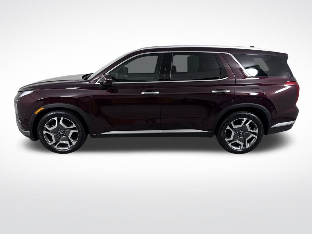2024 Hyundai Palisade Limited - Photo 8